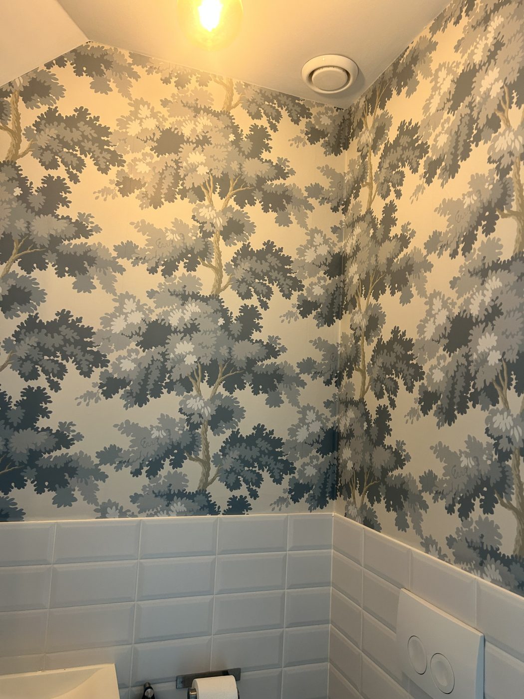 Cole & Son in toilet, Toilet